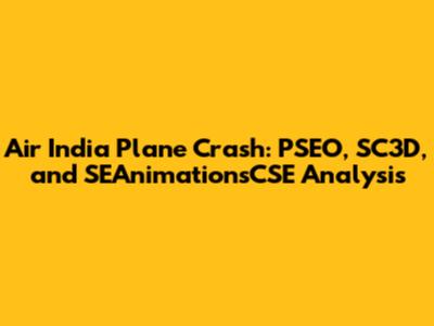 Air India Plane Crash: PSEO, SC3D, and SEAnimationsCSE Analysis