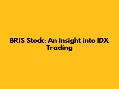 BRIS Stock: An Insight into IDX Trading