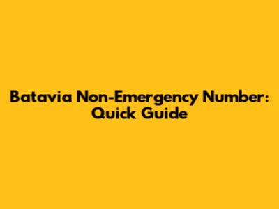 Batavia Non-Emergency Number: Quick Guide