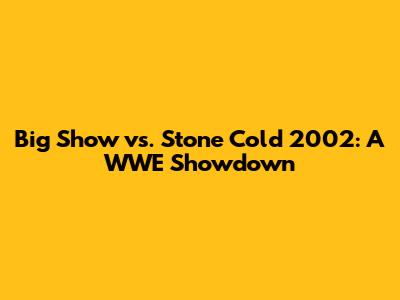 Big Show vs. Stone Cold 2002: A WWE Showdown