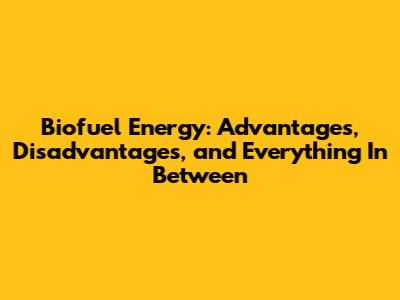 Biofuel Energy: Advantages, Disadvantages, and Everything In Between