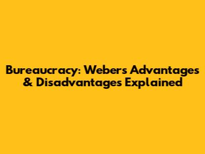 Bureaucracy: Weber's Advantages & Disadvantages Explained