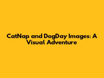 CatNap and DogDay Images: A Visual Adventure