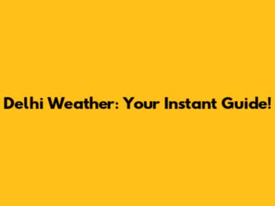Delhi Weather: Your Instant Guide!
