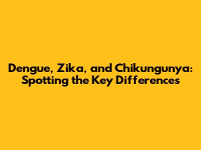 Dengue, Zika, and Chikungunya: Spotting the Key Differences