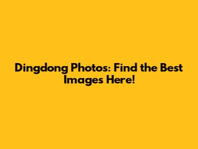 Dingdong Photos: Find the Best Images Here!