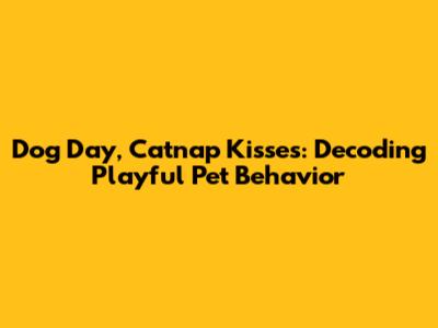 Dog Day, Catnap Kisses: Decoding Playful Pet Behavior