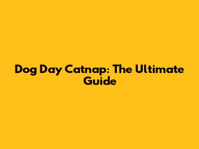 Dog Day Catnap: The Ultimate Guide