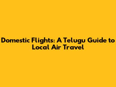 Domestic Flights: A Telugu Guide to Local Air Travel