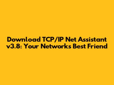 Download TCP/IP Net Assistant v3.8: Your Network's Best Friend