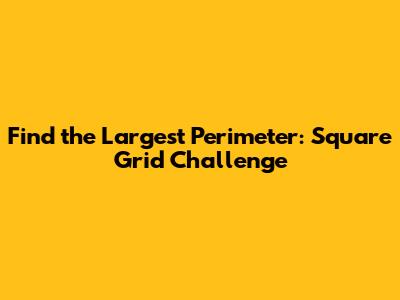 Find the Largest Perimeter: Square Grid Challenge