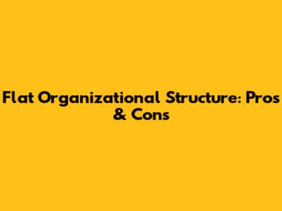 Flat Organizational Structure: Pros & Cons