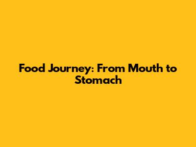 Food Journey: From Mouth to Stomach