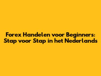 Forex Handelen voor Beginners: Stap voor Stap in het Nederlands