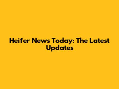 Heifer News Today: The Latest Updates
