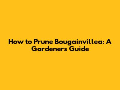 How to Prune Bougainvillea: A Gardener's Guide