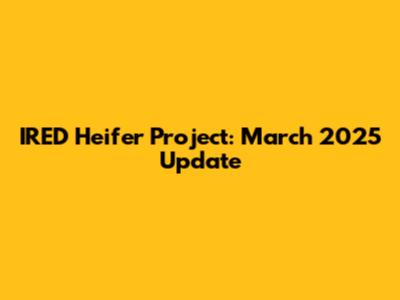 IRED Heifer Project: March 2025 Update