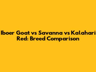 Iboer Goat vs Savanna vs Kalahari Red: Breed Comparison