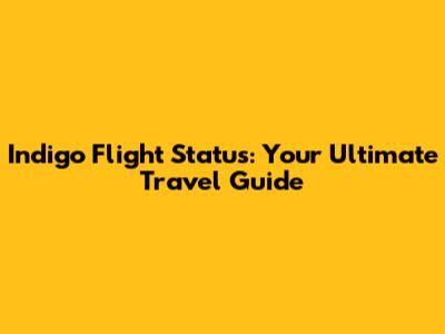 Indigo Flight Status: Your Ultimate Travel Guide