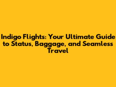 Indigo Flights: Your Ultimate Guide to Status, Baggage, and Seamless Travel
