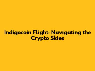 Indigocoin Flight: Navigating the Crypto Skies