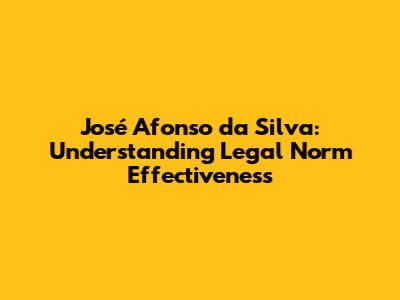 José Afonso da Silva: Understanding Legal Norm Effectiveness