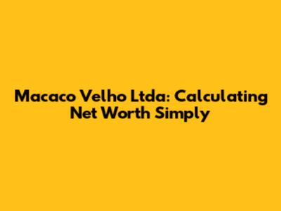 Macaco Velho Ltda: Calculating Net Worth Simply