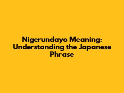 Nigerundayo Meaning: Understanding the Japanese Phrase