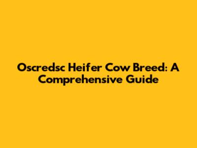 Oscredsc Heifer Cow Breed: A Comprehensive Guide