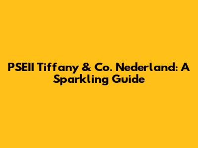 PSEII Tiffany & Co. Nederland: A Sparkling Guide
