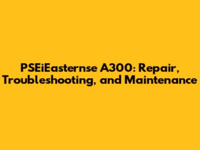 PSEiEasternse A300: Repair, Troubleshooting, and Maintenance