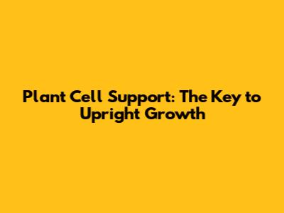 Plant Cell Support: The Key to Upright Growth