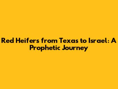 Red Heifers from Texas to Israel: A Prophetic Journey