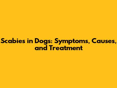 Scabies in Dogs: Symptoms, Causes, and Treatment