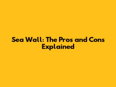 Sea Wall: The Pros and Cons Explained