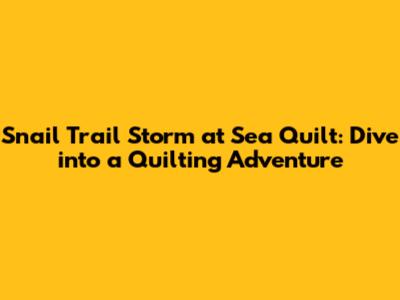 Snail Trail Storm at Sea Quilt: Dive into a Quilting Adventure