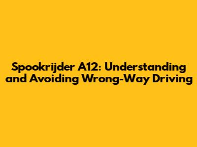 Spookrijder A12: Understanding and Avoiding Wrong-Way Driving