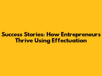Success Stories: How Entrepreneurs Thrive Using Effectuation