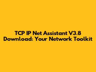 TCP IP Net Assistant V3.8 Download: Your Network Toolkit