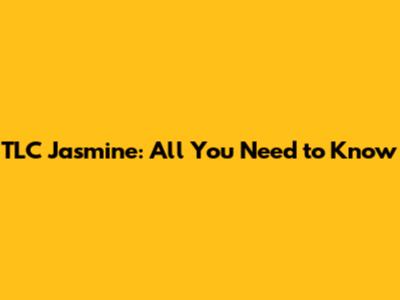 TLC Jasmine: All You Need to Know