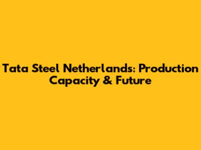 Tata Steel Netherlands: Production Capacity & Future