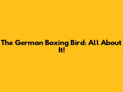 The German Boxing Bird: All About It!