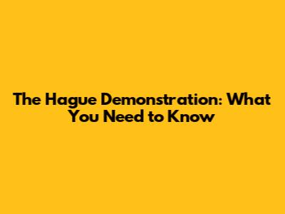 The Hague Demonstration: What You Need to Know