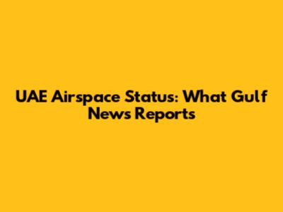 UAE Airspace Status: What Gulf News Reports