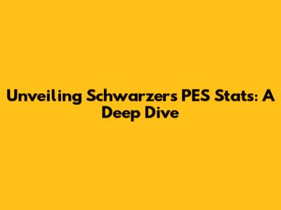 Unveiling Schwarzer's PES Stats: A Deep Dive