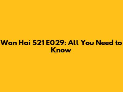 Wan Hai 521 E029: All You Need to Know
