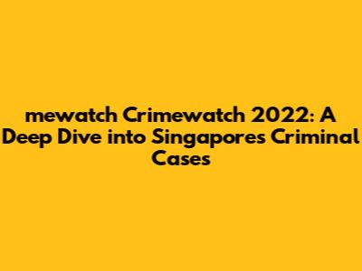 mewatch Crimewatch 2022: A Deep Dive into Singapore's Criminal Cases